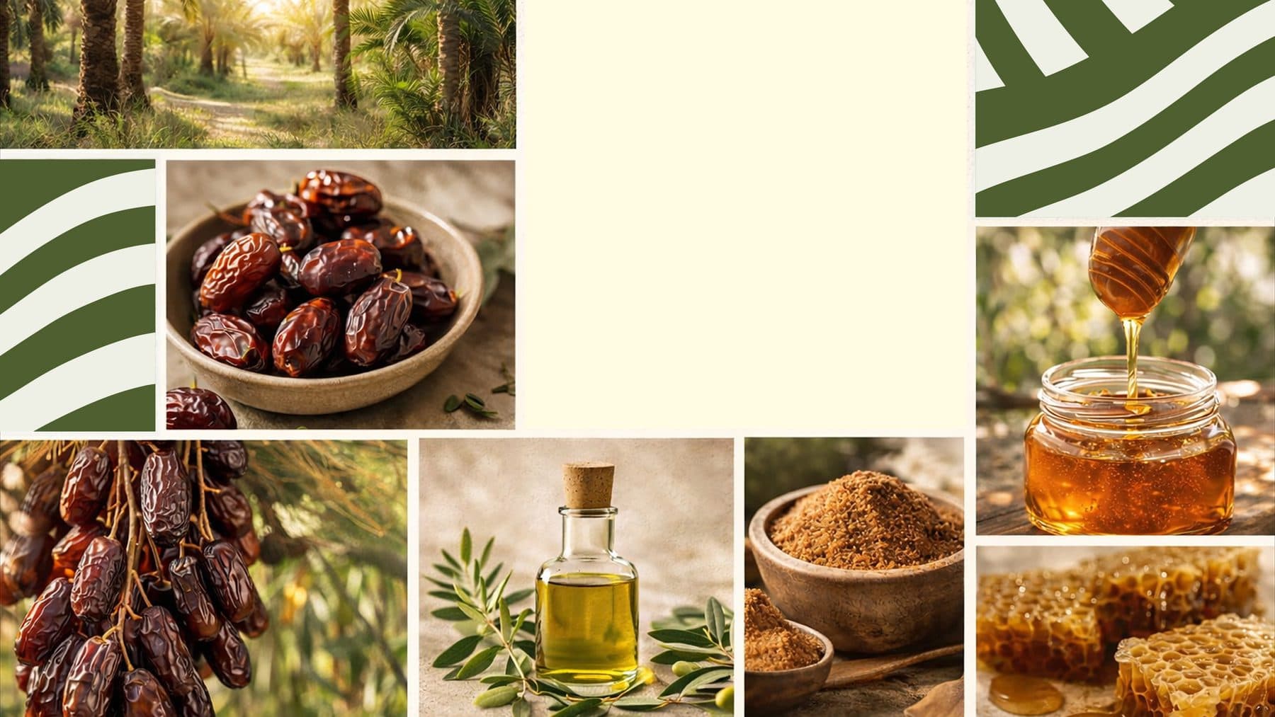 Premium Medjool dates